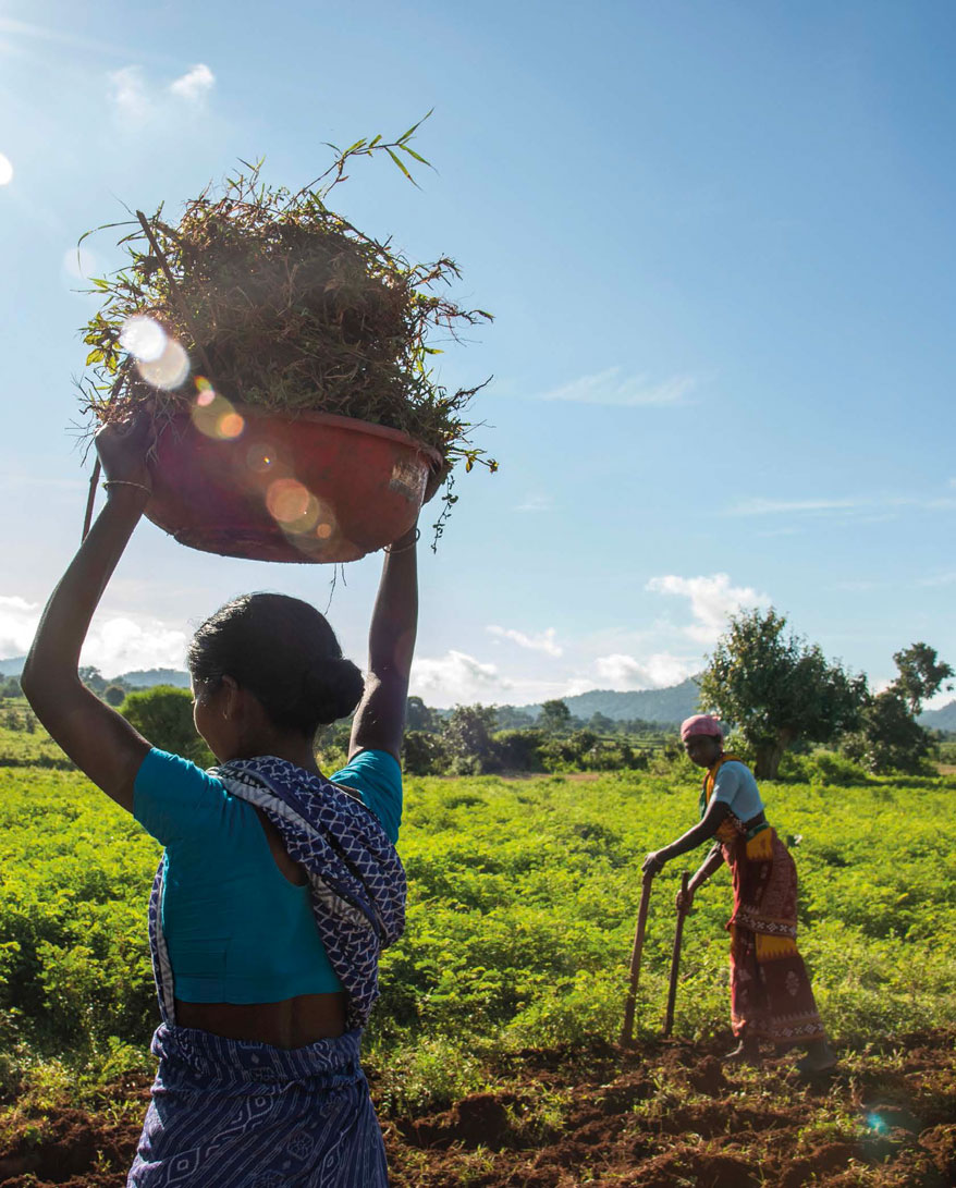 Fairtrade Foundation